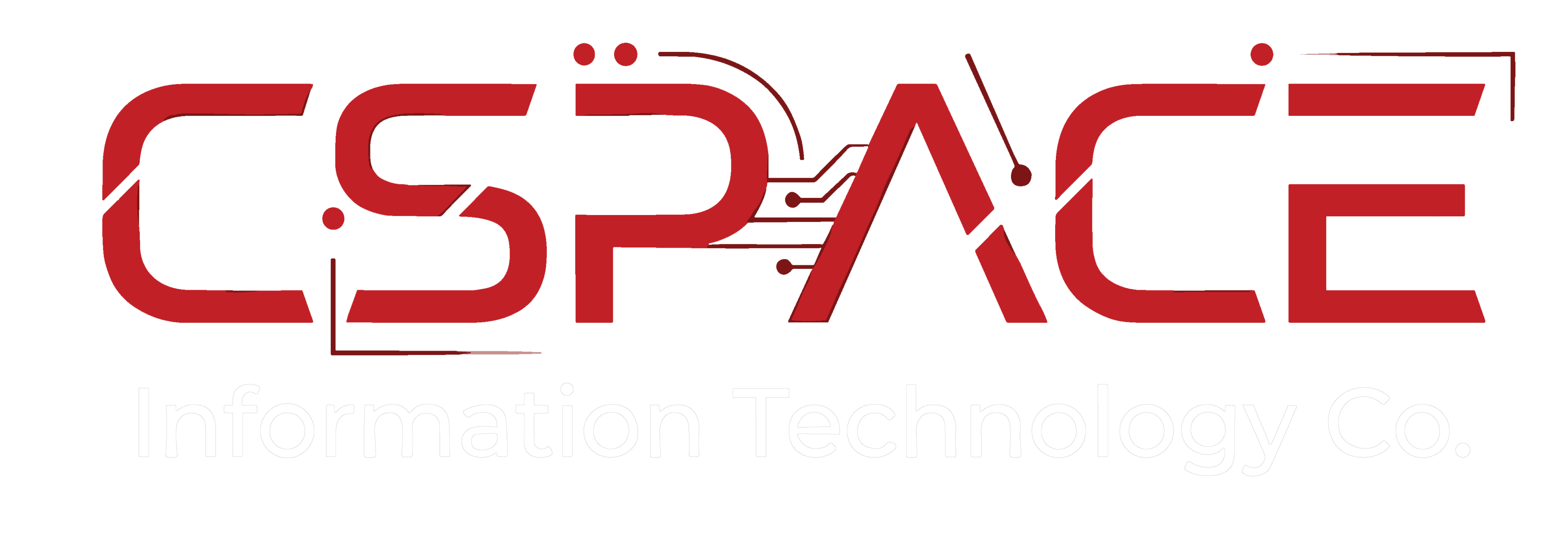 CyperSpace Information Technology Co.